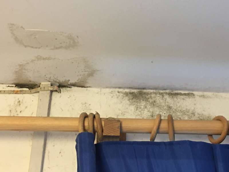 damp and mould as a result of a blocked gutter